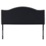 Load image into Gallery viewer, Catalina Upholstered Nailhead Headboard for Full Queen - Black