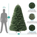 Load image into Gallery viewer, Prague Pre-Lit Artificial Spruce Christmas Tree - 7.5 ft