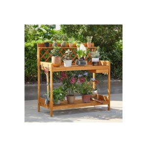 Perfect Women’s Day Gift Ideas; Appreciate The Women In Your Life; Naomi Home; Plant Rack