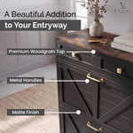 Load image into Gallery viewer, Berenice Farmhouse Shoe Cabinet with 2 Flip Drawers - Black
