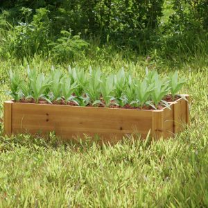 Naomi Home Hana Raised Garden Bed Planter Box