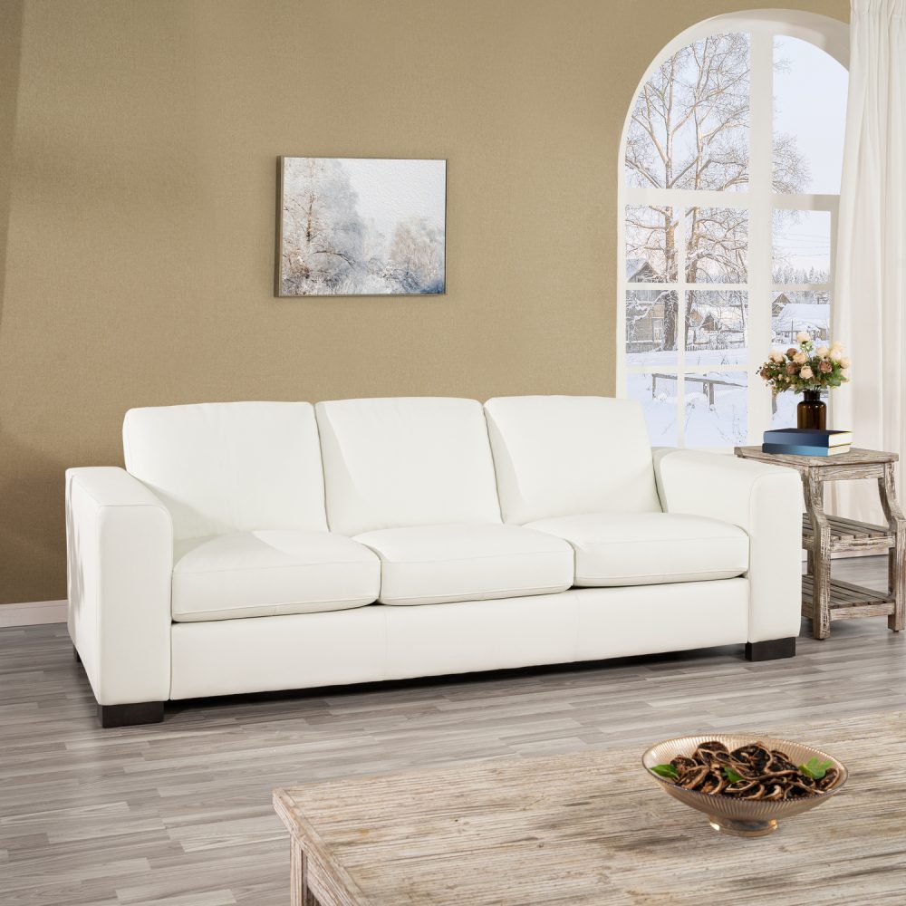 Freya Contemporary Oversized Genuine Leather Sofa Set of 3 by Naomi Home - 5