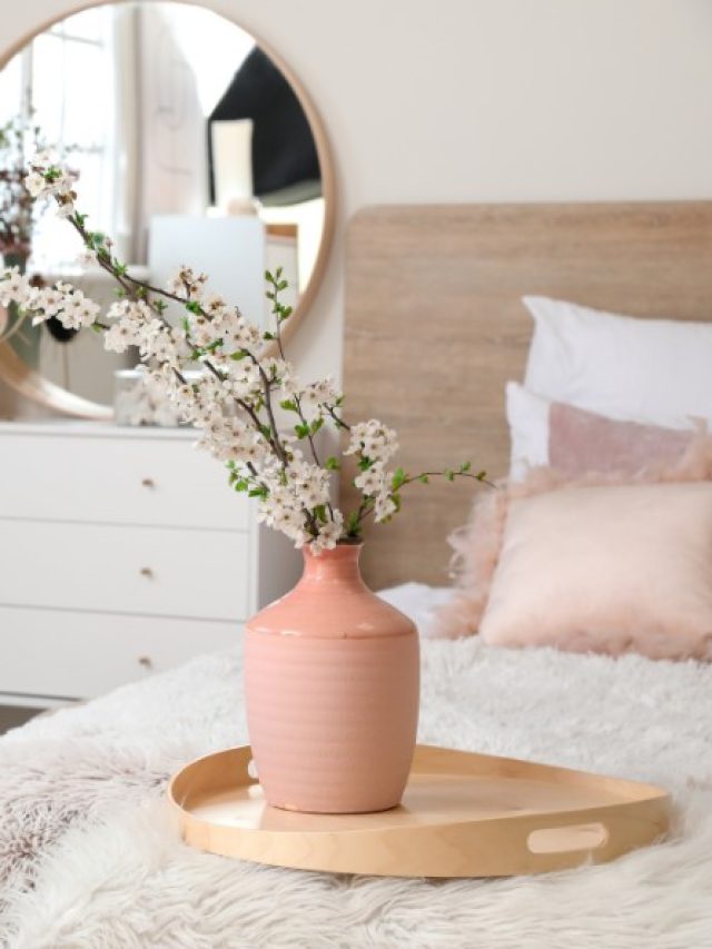 Modern Spring Furniture