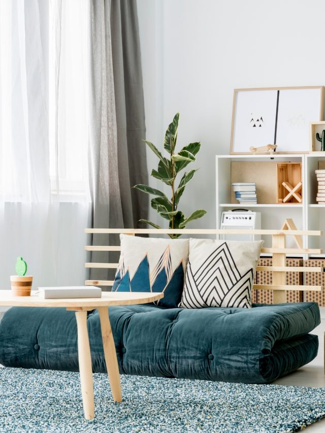 futon-sofa-bed