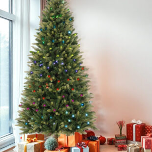 Christmas Trees